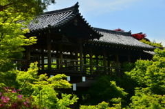 東福寺・通天橋４