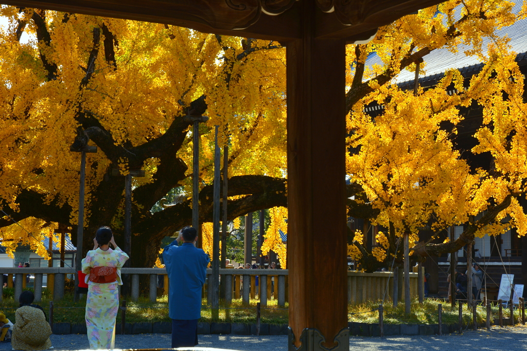 西本願寺・手水舎にて