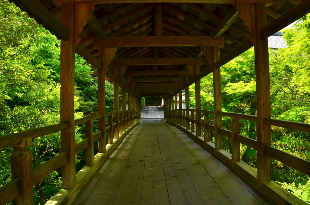 東福寺・偃月橋４