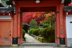 栄摂院山門の紅葉