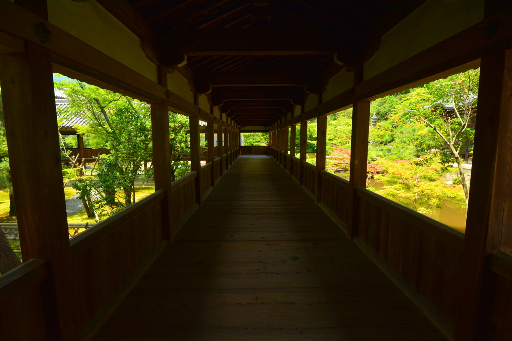 清涼寺回廊・夏３