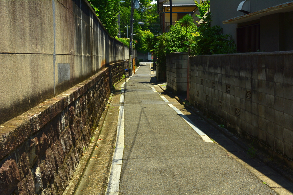 御辰稲荷神社への道