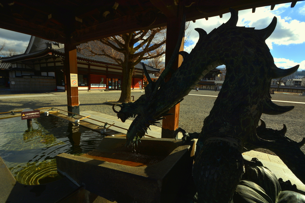 東本願寺・手水舎の龍３