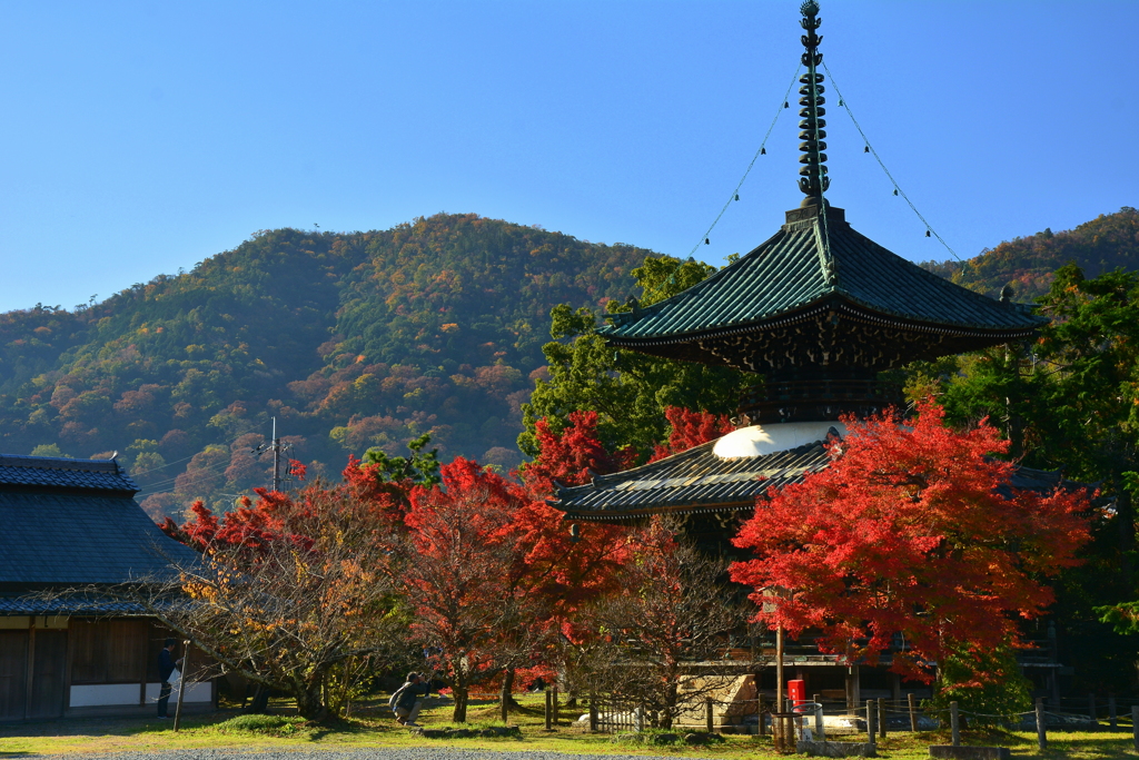 清凉寺多宝塔の紅葉２
