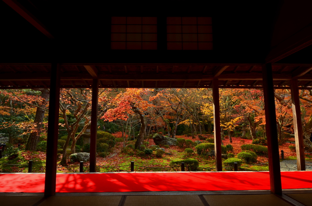 圓光寺庭園・晩秋２