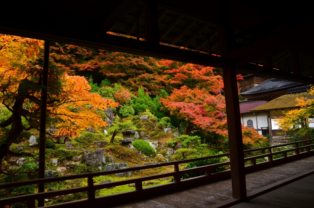 常照皇寺・小庭園