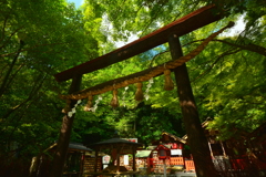 野宮神社・黒木の鳥居