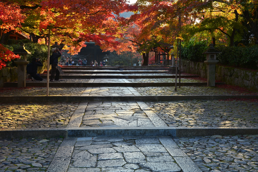 真如堂参道の紅葉２