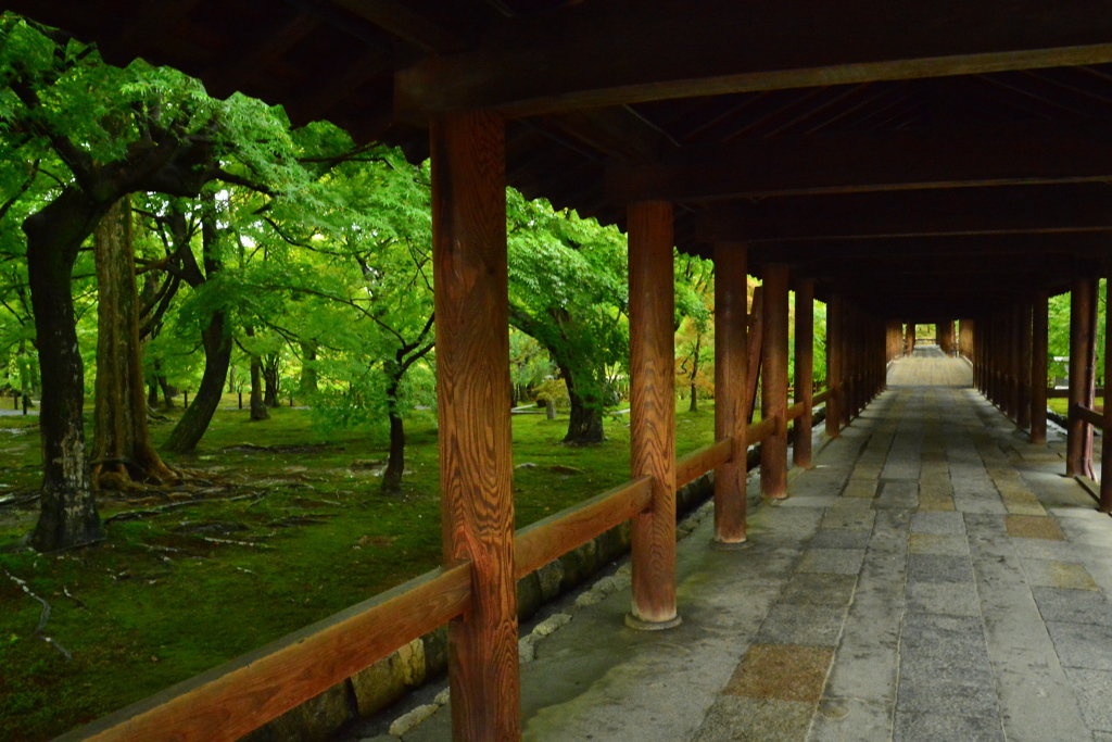 東福寺・通天橋６