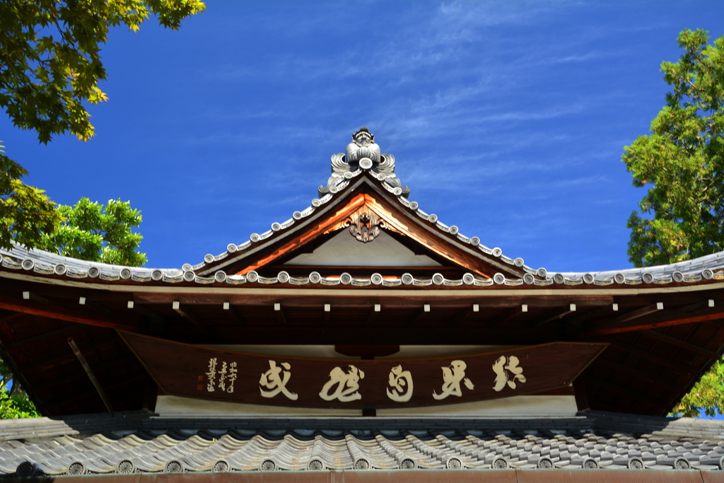 達磨寺達磨堂・青空１