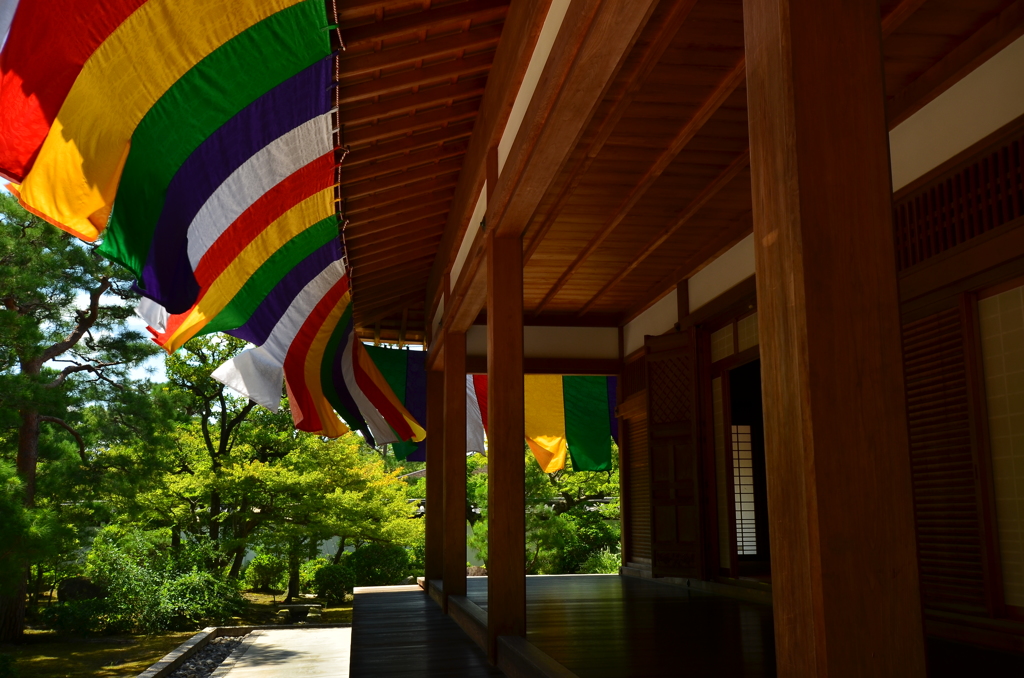 盛夏・京の熱風２