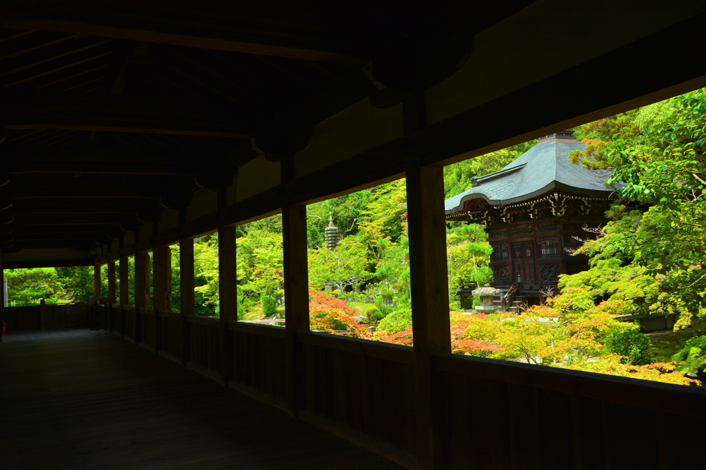 清涼寺回廊・夏１