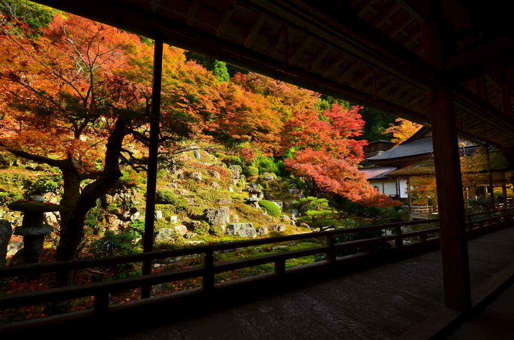 常照皇寺・小庭園３