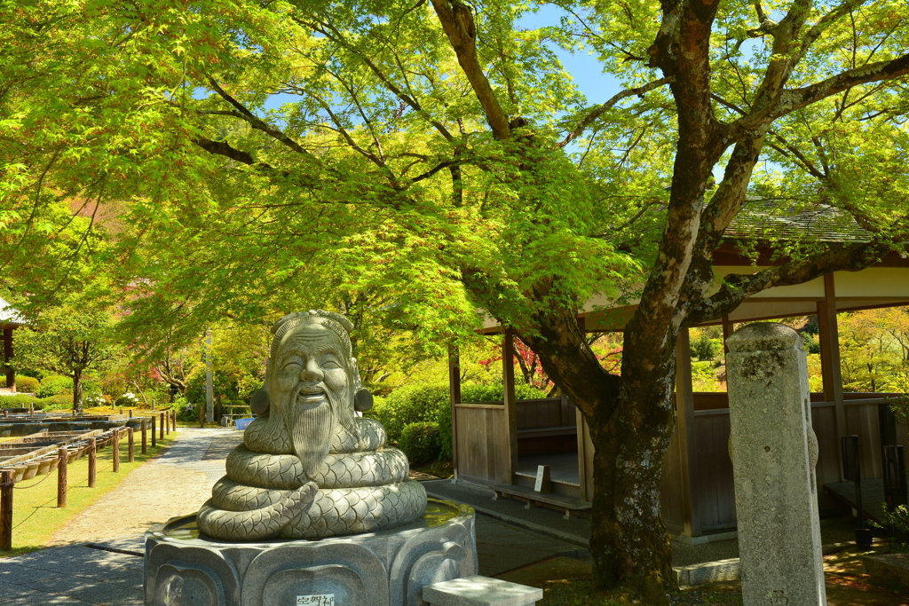 三室戸寺・宇賀神と新緑