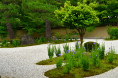 廬山寺・源氏の庭