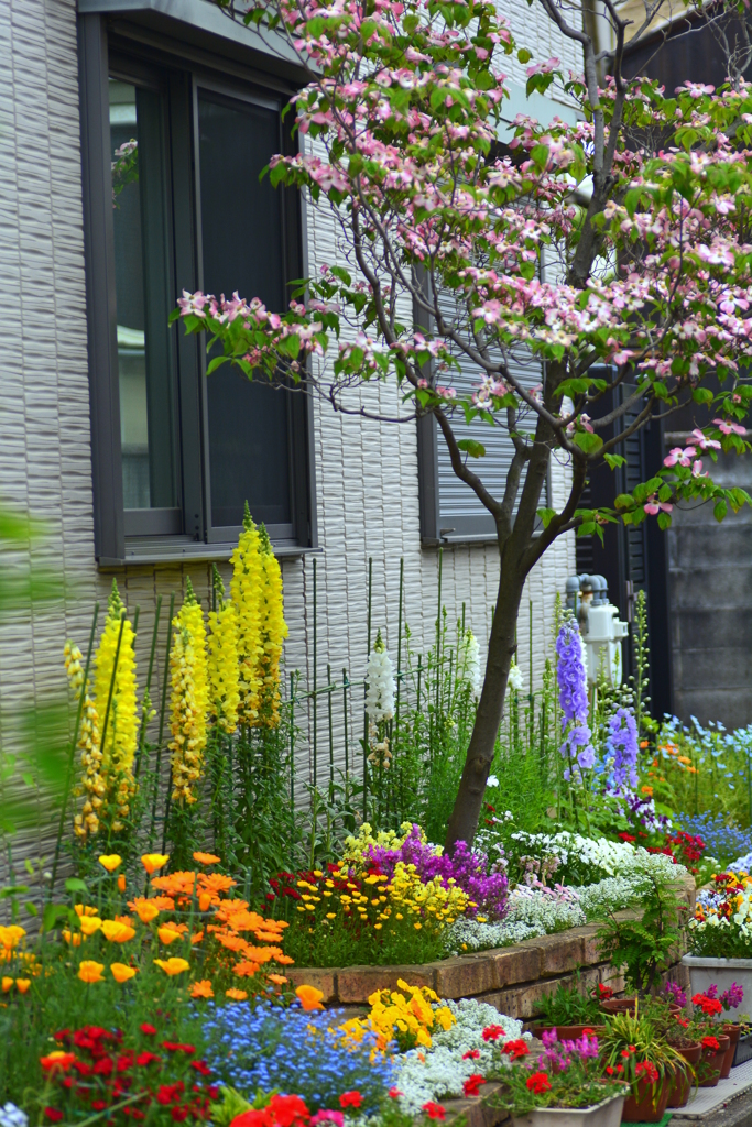 路地の奥は花園