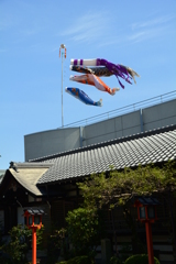 西院春日神社付属幼稚園