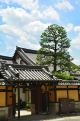 本能寺龍雲院の夏