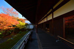 相国寺裏方丈庭園２