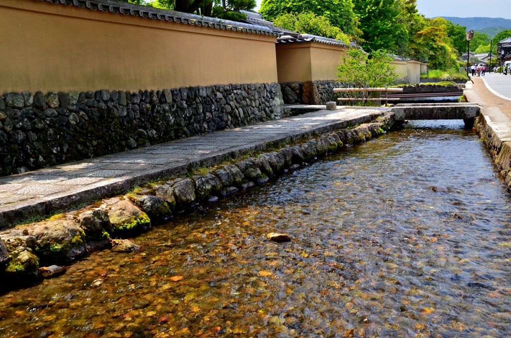 上賀茂・明神川