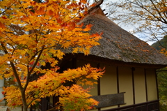 大出地区・古徑庵の晩秋