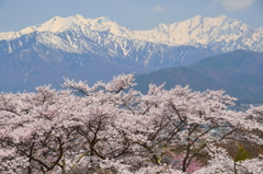 大町霊園からの眺め