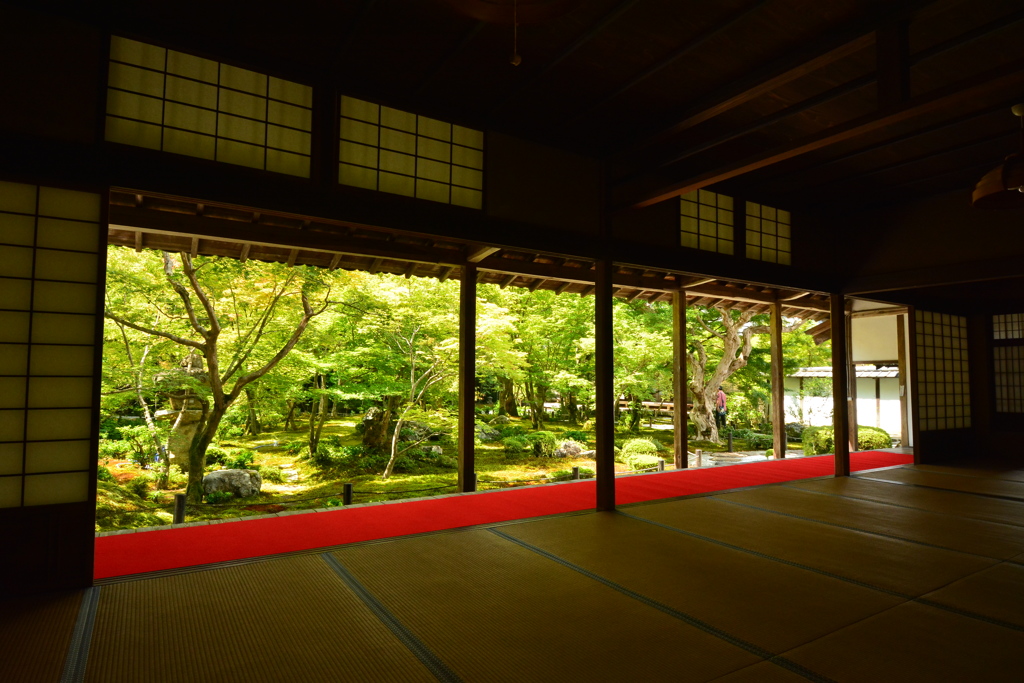 圓光寺・十牛之庭４