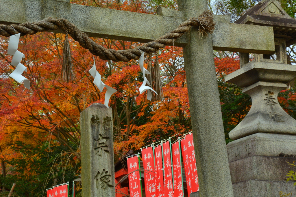 宗像神社の初冬