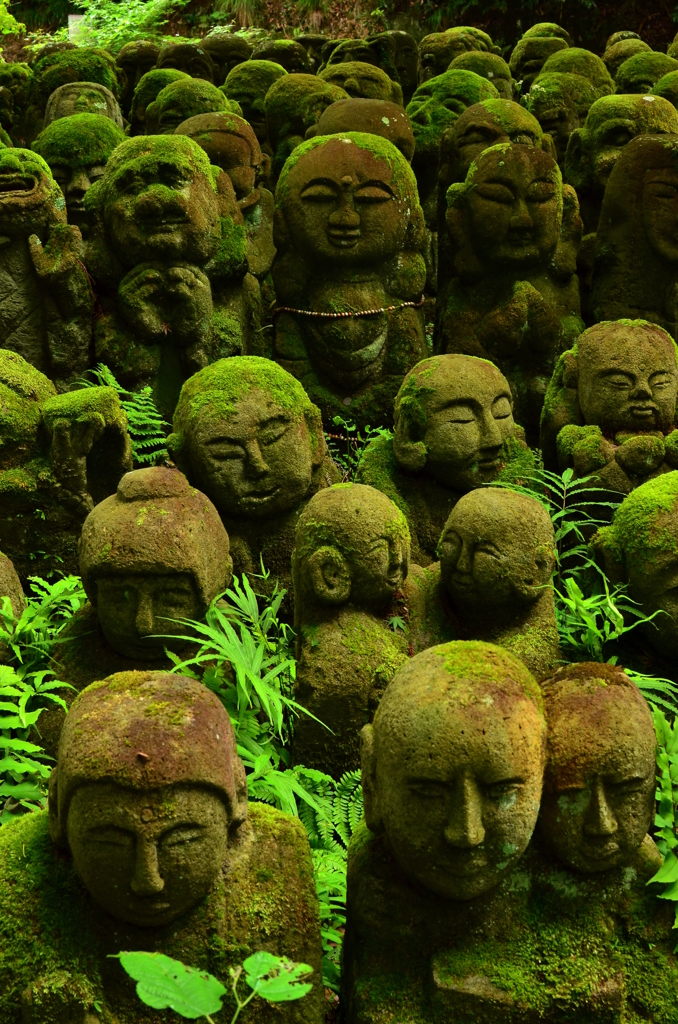 緑に埋もれて