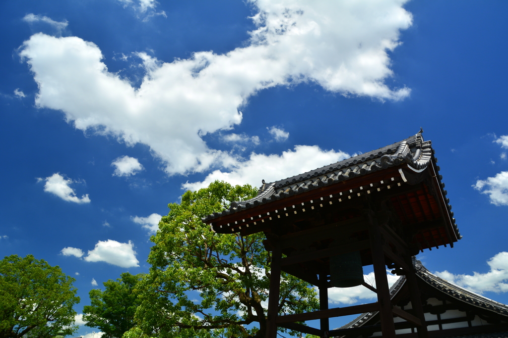 壬生寺・鐘楼　盛夏