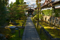 妙心寺天球院・参道