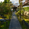 妙心寺天球院・参道