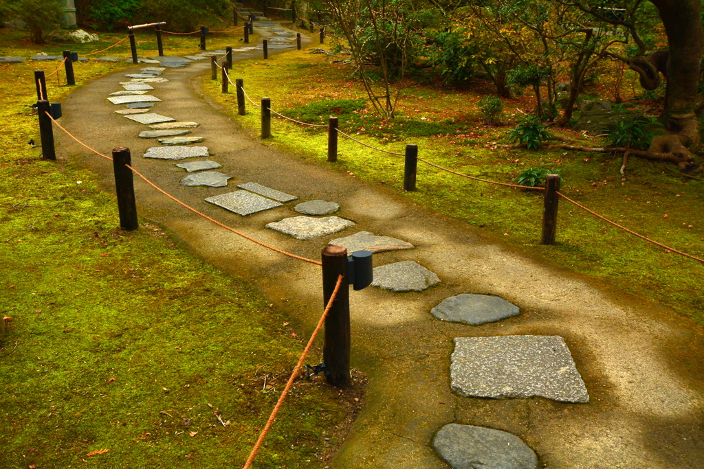 青蓮院門跡・庭園の参道