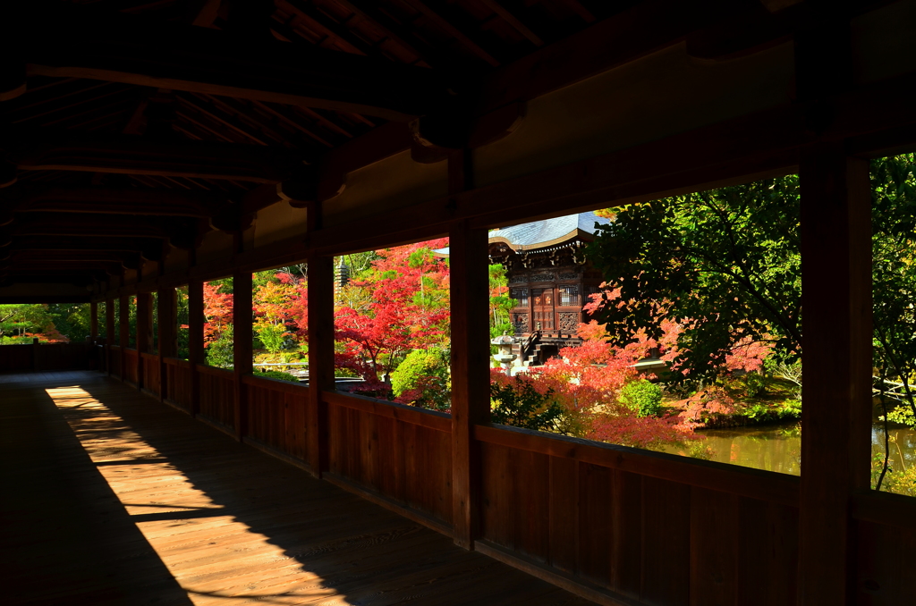 清涼寺回廊・錦秋