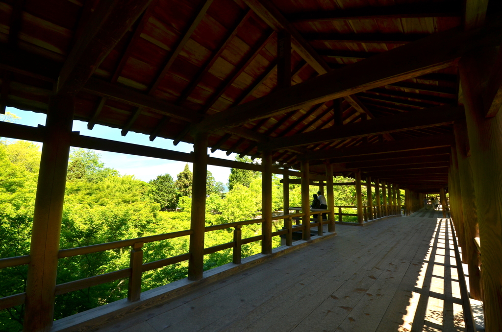 東福寺・通天橋１０