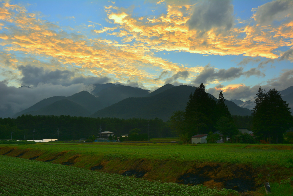 蕎麦畑の夕景