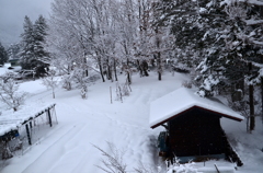 信州雪景色１