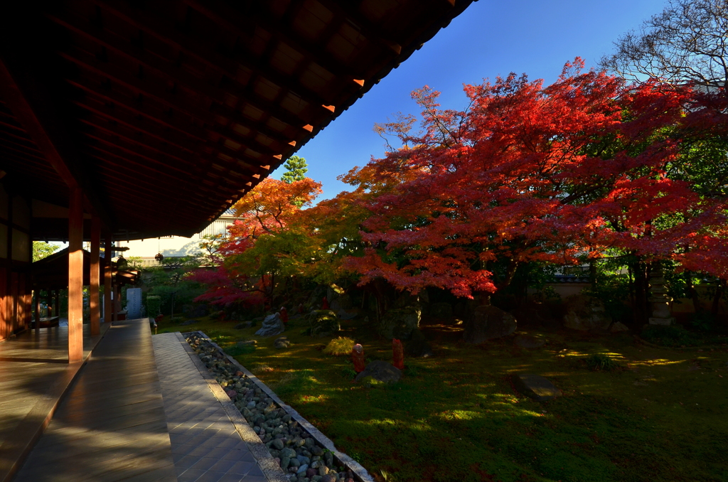 達磨寺庭園