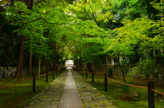 鹿王院・参道