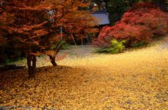 霊松寺・秋２