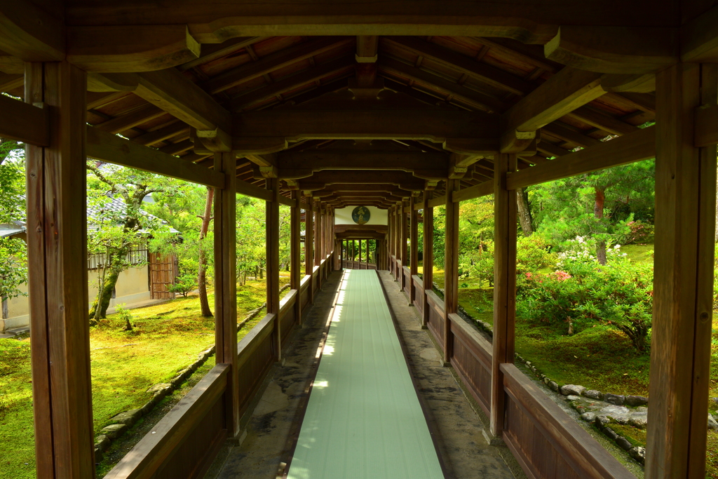 天龍寺・多宝殿順路２