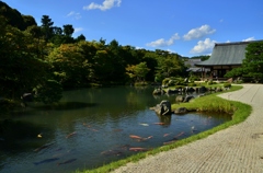 天龍寺　曹源池庭園２