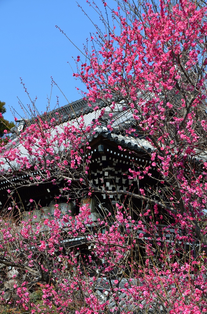 山門炎上