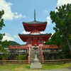 大覚寺・心経宝塔の夏２