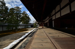 妙心寺龍泉菴・方丈庭園２