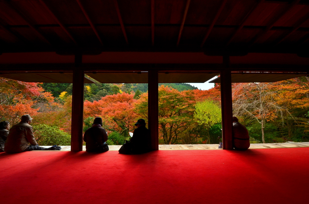 高山寺・石水院　南縁