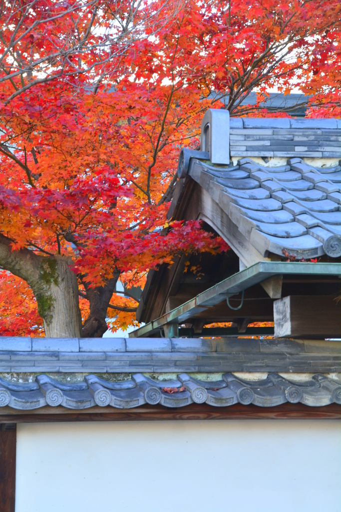 西梅津神明社の紅葉２