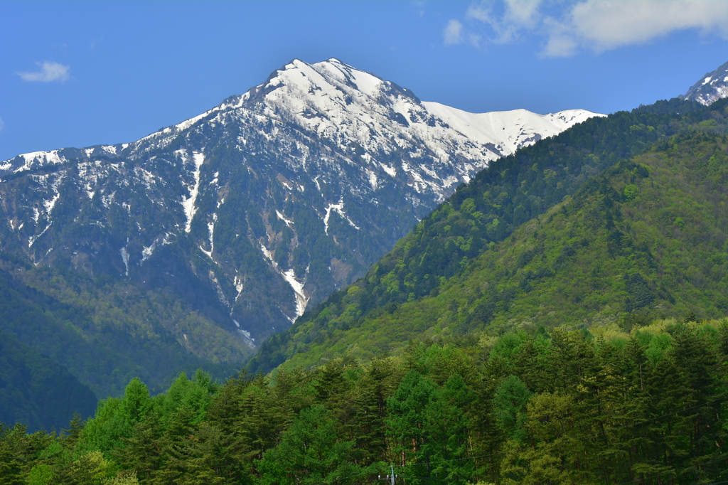新緑の北葛岳