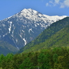 新緑の北葛岳