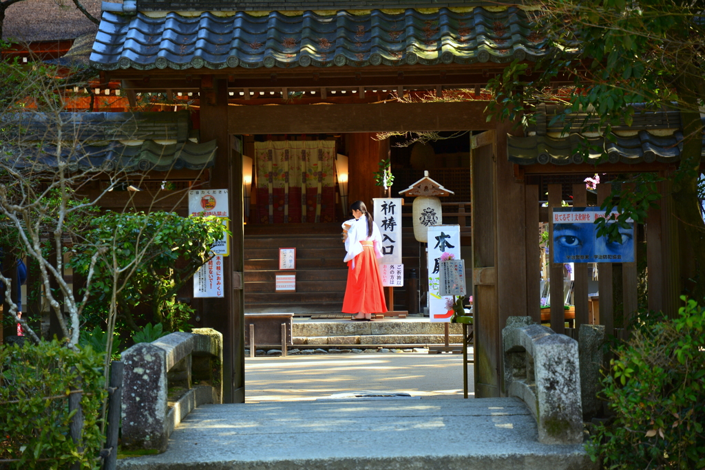 宇治上神社の巫女さん